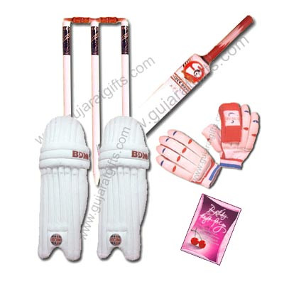 Cricket Special - Bat, Leg Guards, Stumps With Bales, Batting Gloves and Card
