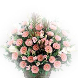 Basket Of Wishes - 50 Pink Gerberas & Gladioli Flowers Basket + Card