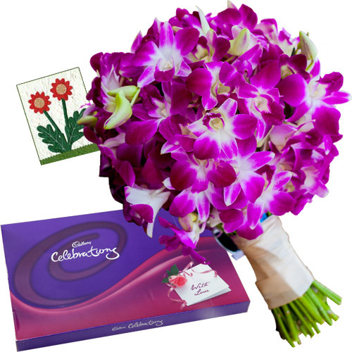 Gentle Love - 6 Purple Orchids + Cadbury Celebration 200 gms + Card