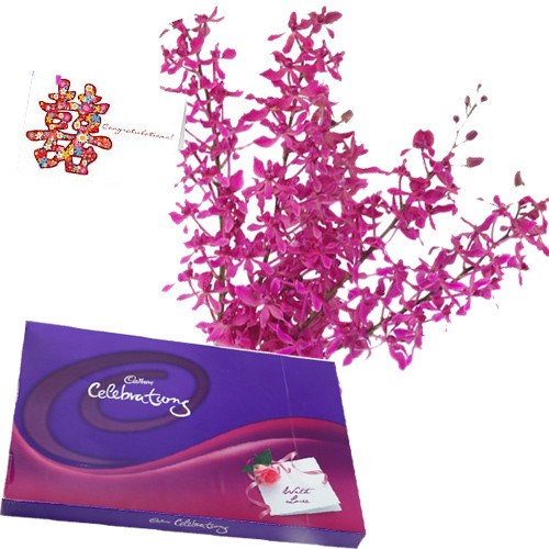 Special Wishes - 12 Purple Orchids + Cadbury Celebration 162 gms + Card
