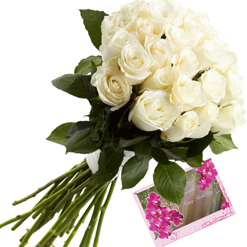 Our Tribute - 12 White Roses Bunch + Card