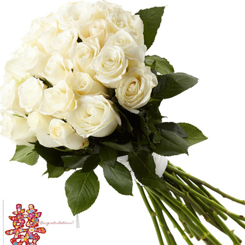 Serenity - 25 White Roses Bunch + Card