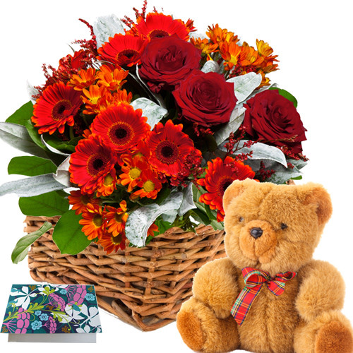 Floral Feelings - 6 Red Gerberas & 6 Red Roses + 6 Carnations Basket + Teddy 6" + Card