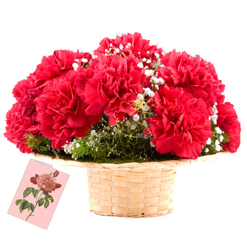 Red Basket - 12 Red Carnations Basket + Card