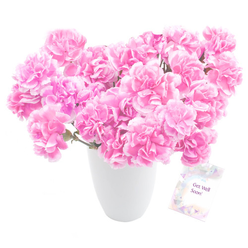 Lovely Carnations - 12 Pink Carnations in a Vase