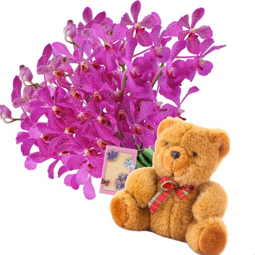 Simply Beautiful - 12 Purple Orchids + Teddy 6" + Card