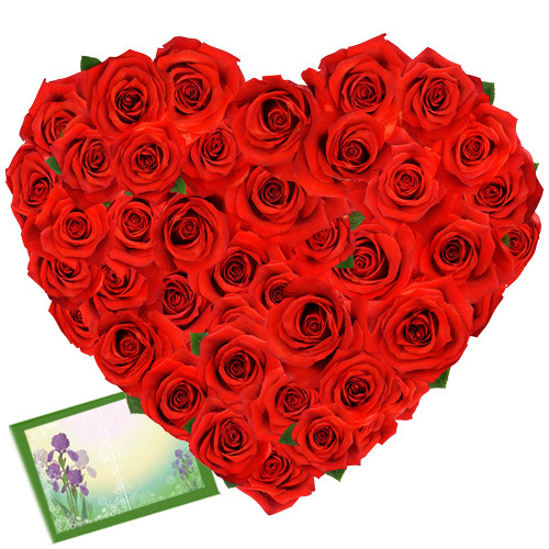 Soft As Heart - 50 Heart Shaped Red Roses + Card