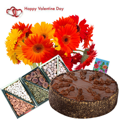 Valentines Delicious Delight - 12 Red and Yellow Gerberas, 1/2 Kg Chocolate Cake, Assorted Dryfruit 200 gms in Box and Card