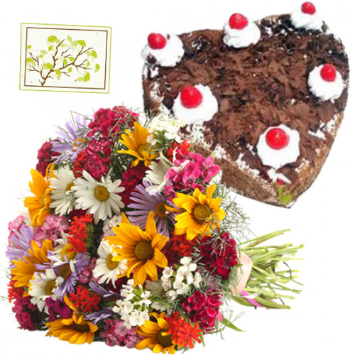 Love Struck - 20 Mix Carnations Bunch, 1.5 Kg Black Forest Cake Heart Shape + Card