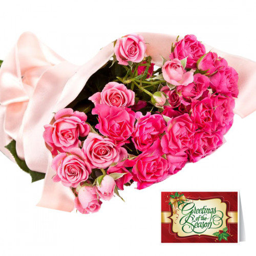 Beaming Pink - 18 Pink Roses Bunch