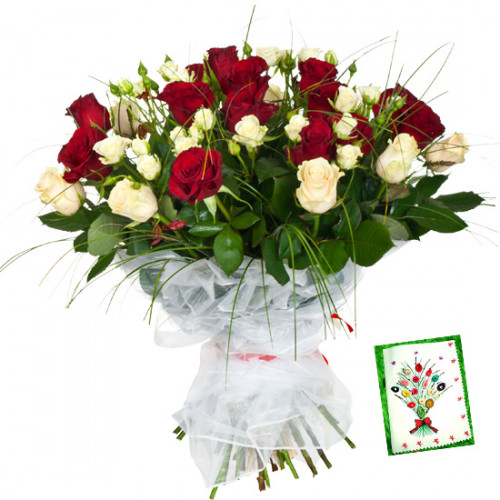 Red N White Bunch - 24 Red & White Roses Bunch & Card