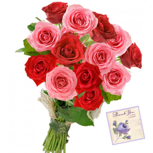 Red N Pink Roses - 18 Red and Pink Roses Bunch & Card