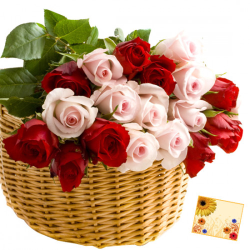 Pink N Red Basket - 20 Red & Pink Roses Basket & Card