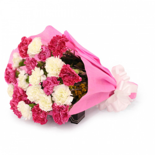Beautiful Carnation - 30 Pink and White Carnations and Card