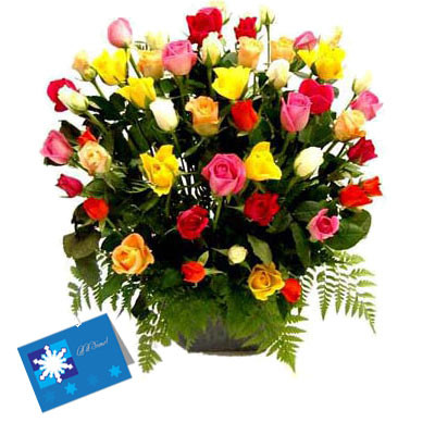 Special 50 - 50 mix Roses in Basket and Card