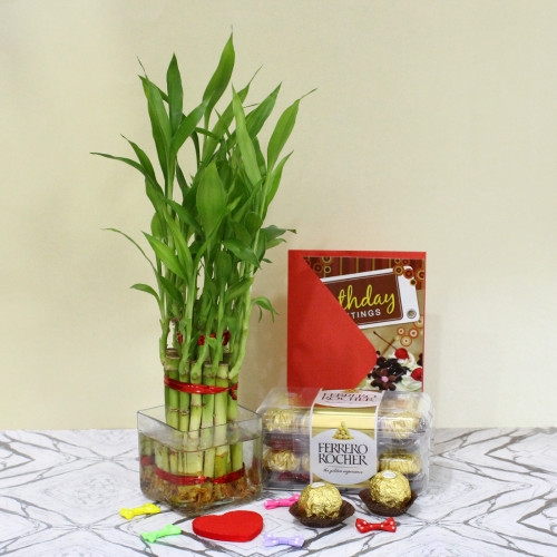 Lucky Crunch - Ferrero Rocher 16 Pcs, 3 Layer Bamboo Plant and Card