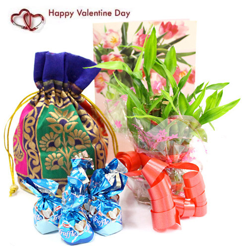 Lucky Assortment - 1 Layer Bamboo Plant, Assorted Truffle Chocolates 100 gms in Potli and Card