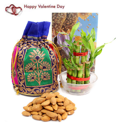 Dear Love - Almond in Potli (D), 2 Layer Bamboo Plant and Card