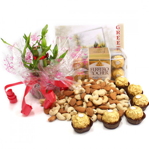 Luck N Affection - Almonds & Cashews, 3 Layer Bamboo Plant, Ferrero Rocher 16 Pcs and Card