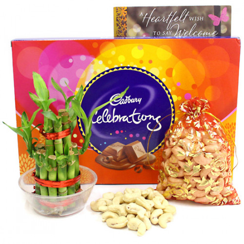 Celebrate Luck - Cashew in Potli, Cadbury Celebrations, 2 Layer Bamboo Plant