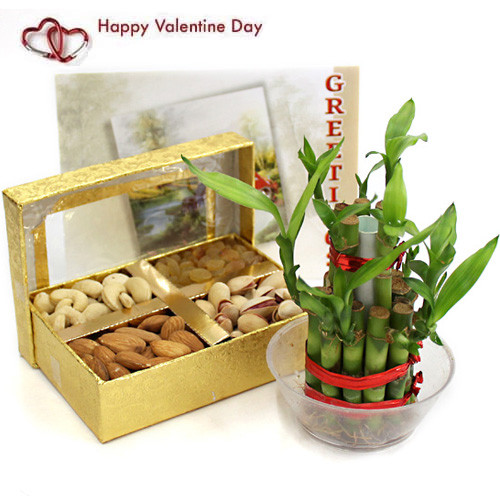 Flavor of Joy - Assorted Dryfruits, 1 Layer Bamboo Plant and Card