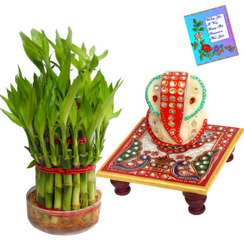 Lucky Ganesha - 3 Layer Lucky Bamboo, Ganesh Chowki & Card