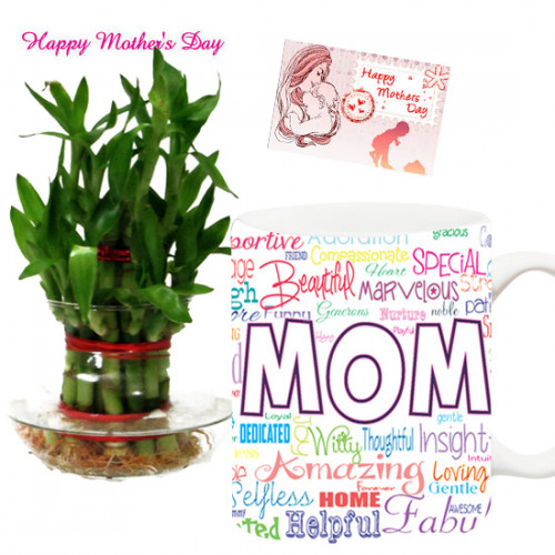Bamboo N Mug - 3 Layer Lucky Bamboo Plant, Mother's Day Mug and Card