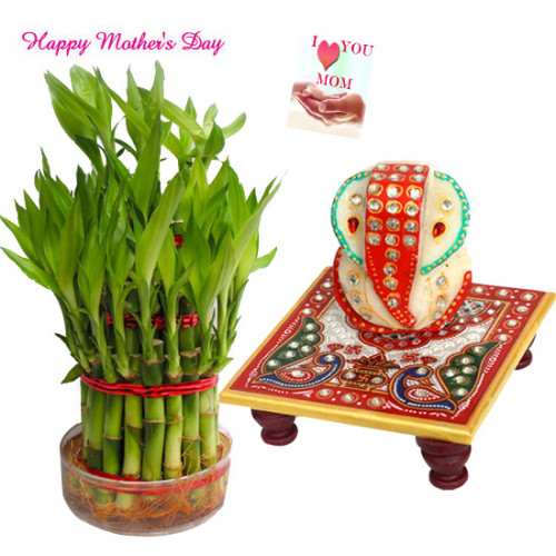 Bamboo with Ganesha - 3 Layer Lucky Bamboo Plant, Ganesh on Chowki and Card