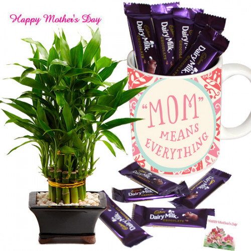 Lucky Mug with Teddy - 1 Layer Lucky Bamboo Plant, Mother's Day Personalized Mug, 10 Dairy Milk and Card