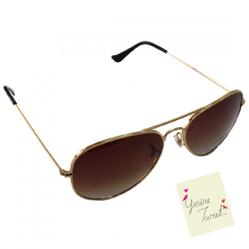 Brown & Gold Polarized Sunglasses