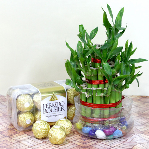 Bamboo Plant with Ferrero - 2 Layer Bamboo Plant, Ferrero Rocher 16 Pcs and Card