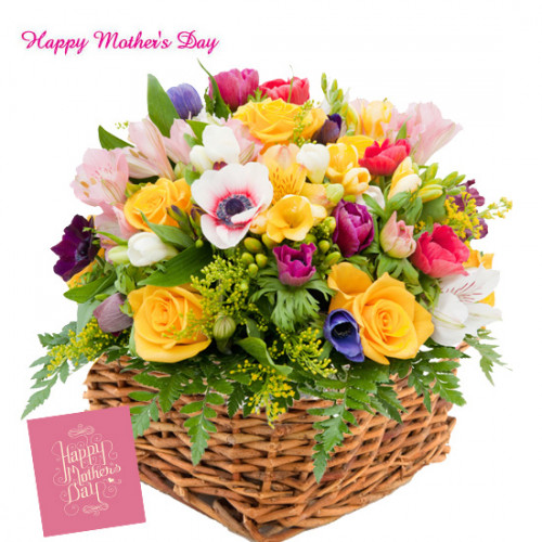 Amazing Basket - 25 Seasonal Flowers Basket and Mother's Day Greeting Card