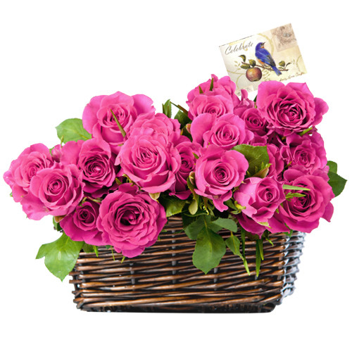 Pleasing Gift - 20 Pink Roses Basket + Card