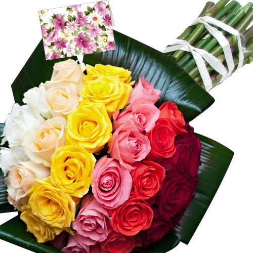 Classy - 50 Assorted Roses + Card