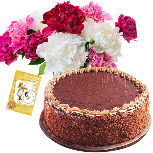 Love Attachment - 12 Mixed Carnations + 1/2 Kg Chocolate Cake+ Card