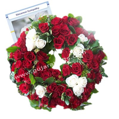 Circle of Life - 40 Red & White Roses + Card