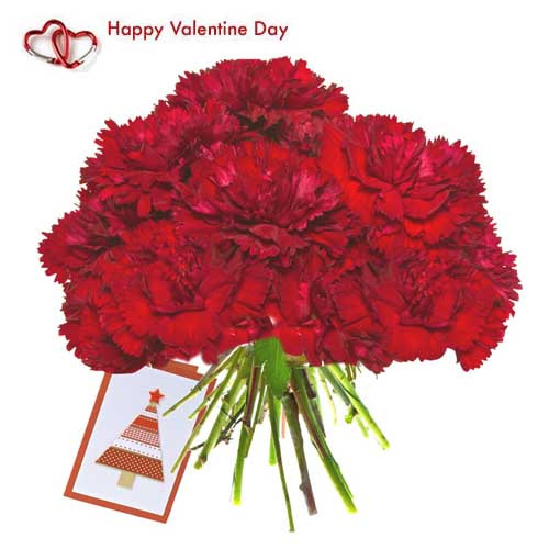 Spirit of Love - 24 Red Carnations Bouquet