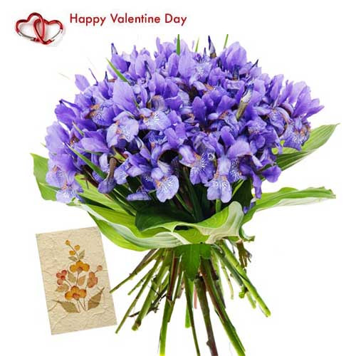 Beautiful Orchids - 15 Purple Orchids Bunch + Card