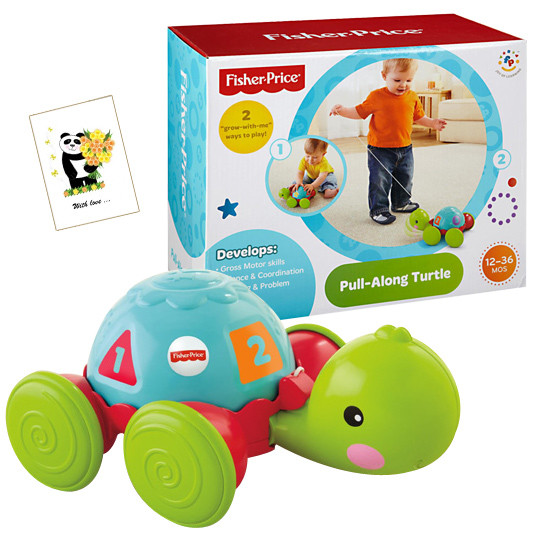 fisher price pull along turtle