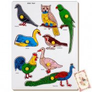 Bird - Parrot Tray
