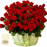 Radiant Flowers - 50 Red Roses Basket + Card