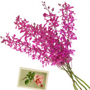 Pious Soul - 6 Orchids Bunch + Card