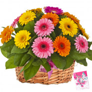 Shining Invitation - 50 Assorted Flowers Basket + Card