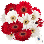 Fragrance of Romance - 24 Red & White Gerberas + Card