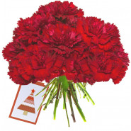 Spirit of Love - 24 Red Carnations Bouquet + Card