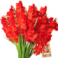 Expression Of Love - 12 Red Gladiolas + Card