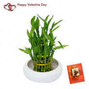 Lucky Bamboo - 3 Layer Luck Plant and Card