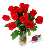 Lovely Roses - 12 Red Roses in Vase + Card