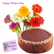 Flowers and Cake - 12 Gerberas in Bunch, 1/2 kg Chocolate Cake and Card
