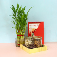 Magnetic Pleasure - 2 Layer Lucky Bamboo Plant, Almond in Jar, Cashew in Jar, Wooden Tray and Card